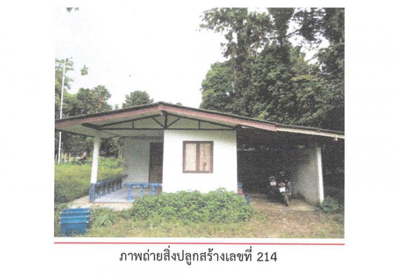 ที่ดินพร้อมสิ่งปลูกสร้างหลุดจำนอง ธ.ธนาคารออมสิน นครศรีธรรมราช พิปูน ยางค้อม