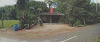 บ้านเดี่ยวหลุดจำนอง ธ.ธนาคารอาคารสงเคราะห์ นครศรีธรรมราช พิปูน เขาพระ