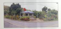 บ้านเดี่ยวหลุดจำนอง ธ.ธนาคารอาคารสงเคราะห์ นครศรีธรรมราช ลานสกา กำโลน