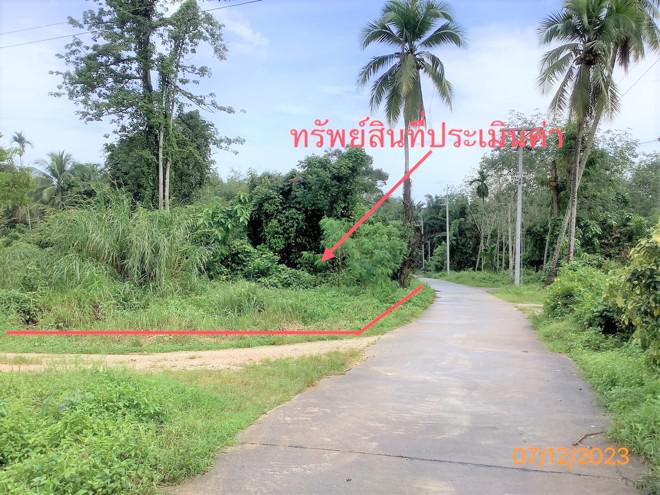 ที่ดินว่างเปล่าหลุดจำนอง ธ.ธนาคารกสิกรไทย นครศรีธรรมราช ขนอม ควนทอง
