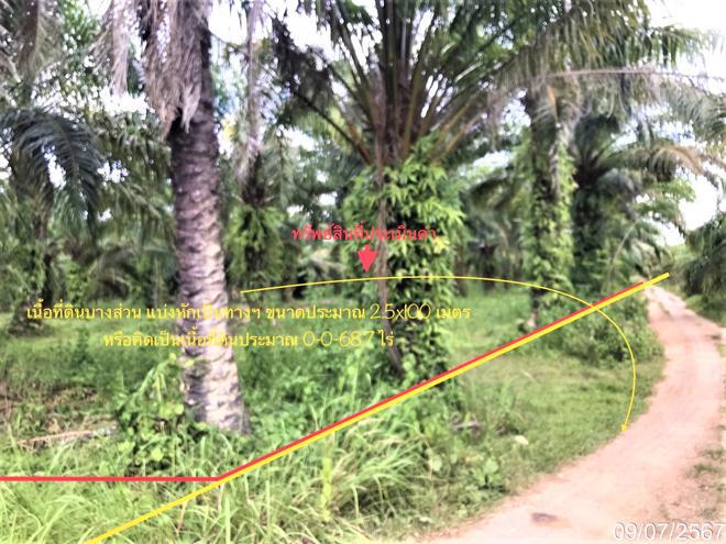 ที่ดินว่างเปล่าหลุดจำนอง ธ.ธนาคารกสิกรไทย นครศรีธรรมราช ทุ่งสง เขาโร