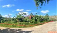ที่ดินว่างเปล่าหลุดจำนอง ธ.ธนาคารกสิกรไทย นครศรีธรรมราช บางขัน บ้านนิคม