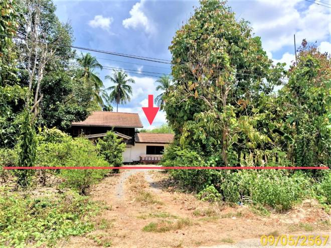 บ้านเดี่ยวหลุดจำนอง ธ.ธนาคารกสิกรไทย นครศรีธรรมราช ท่าศาลา ไทยบุรี