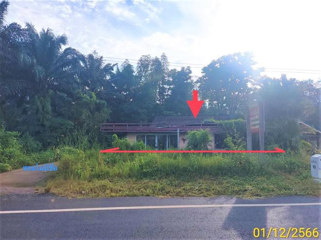 บ้านเดี่ยวหลุดจำนอง ธ.ธนาคารกสิกรไทย นครศรีธรรมราช ทุ่งใหญ่ บางรูป